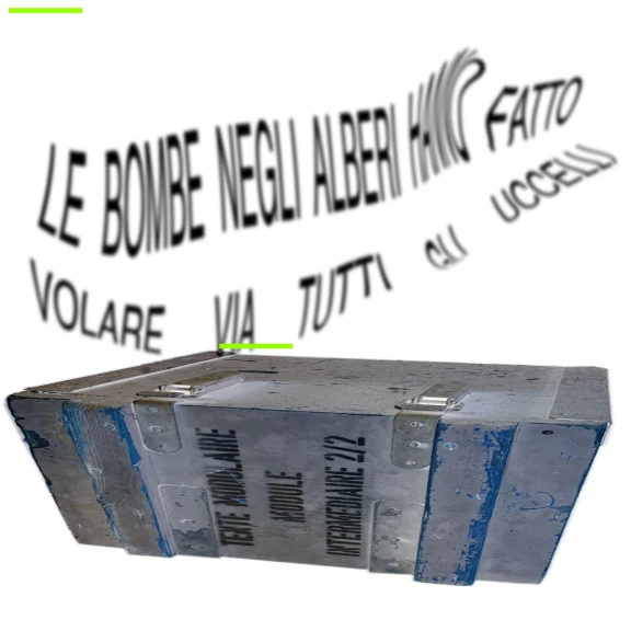 LE BOMBE NEGLI ALBERI HANNO FATTO VOLARE VIA GLI UCCELLI