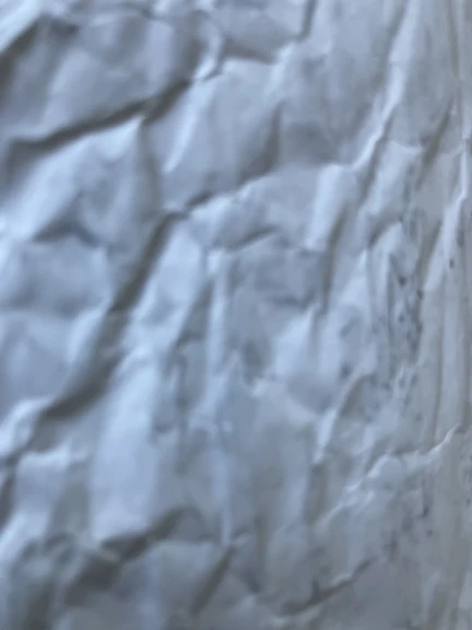 IMG_0269 - ELISA DUNIA COSTA.jpg