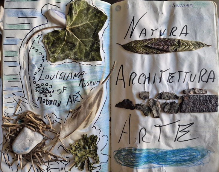 Appunti sul concetto