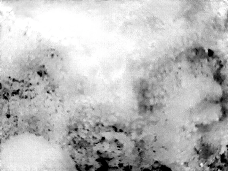 25 - Sabrina Maselli_23.10.2025_2.jpg