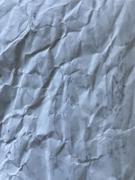 IMG_0268 - ELISA DUNIA COSTA.jpg