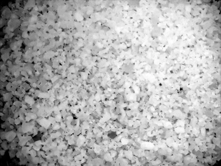 25 - Sabrina Maselli_24.10.2025_3.jpg