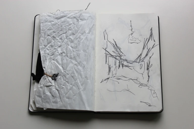 Moleskine