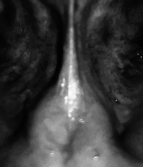 Quattro chili e mezzo