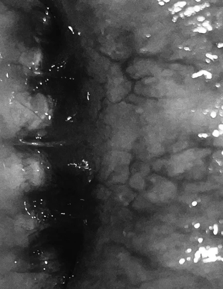 Quattro chili e mezzo