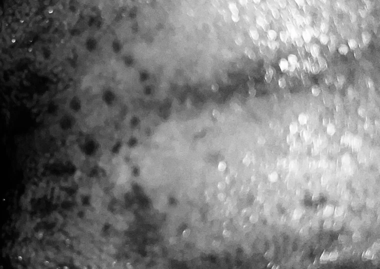 Quattro chili e mezzo