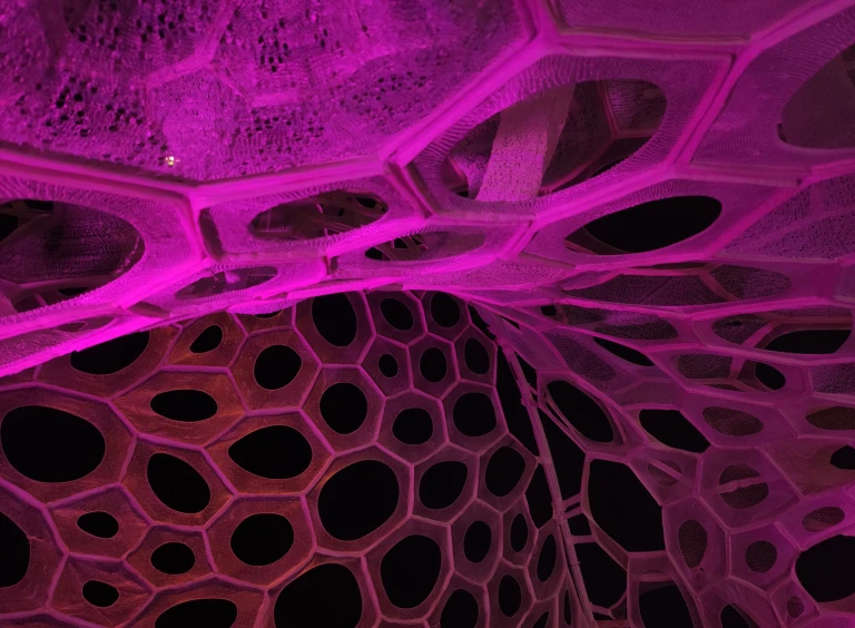 LIVING STRUCTURE_laboratorio