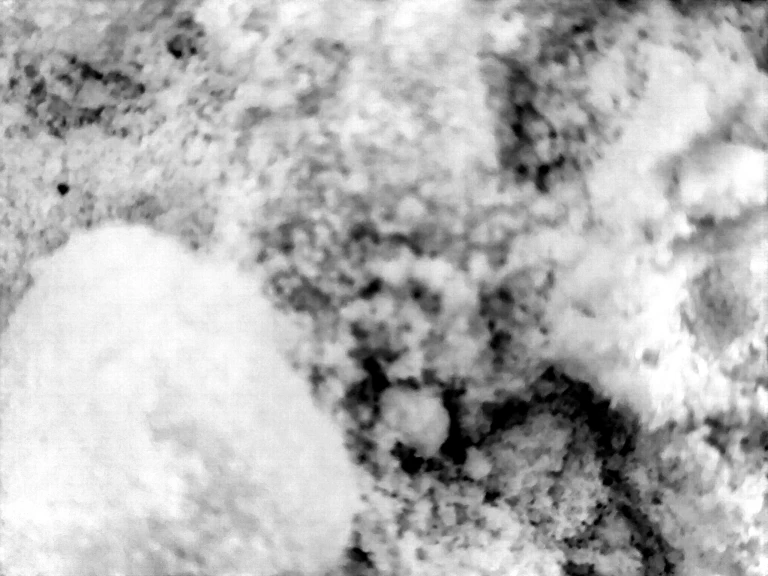 25 - Sabrina Maselli_23.10.2025_1.jpg