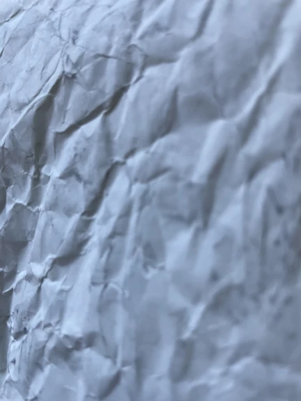 IMG_0270 - ELISA DUNIA COSTA.jpg