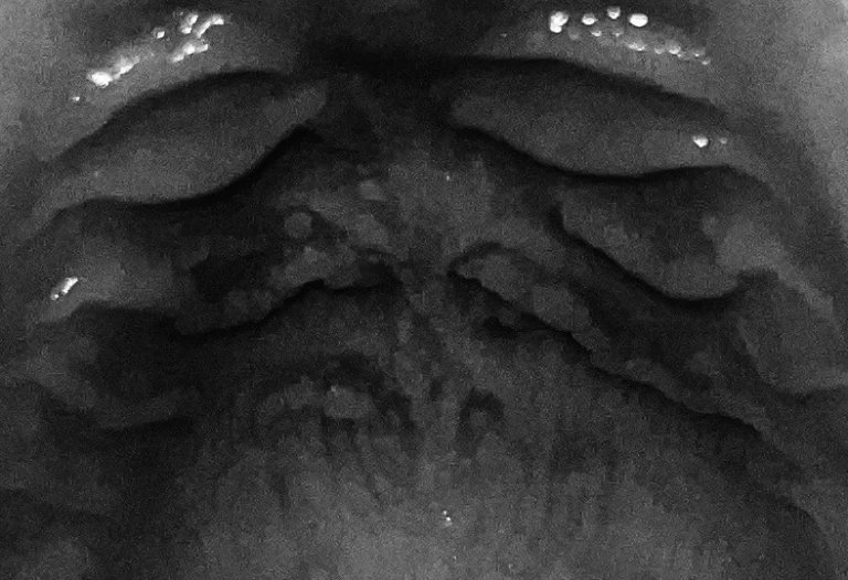 Quattro chili e mezzo