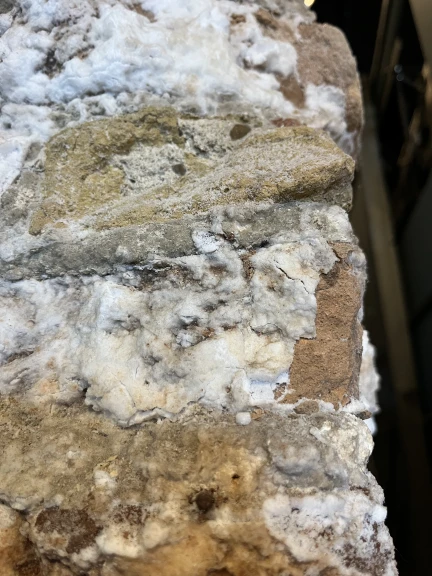 CHIARA GENTILI_25.10.2025_Ravenna_foto n.10 - Chiara Gentili.jpg