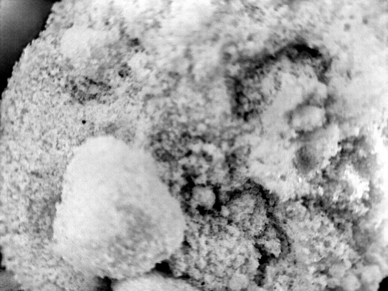 25 - Sabrina Maselli_23.10.2025_3.jpg