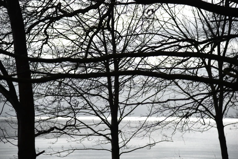 Collisioni contaminose