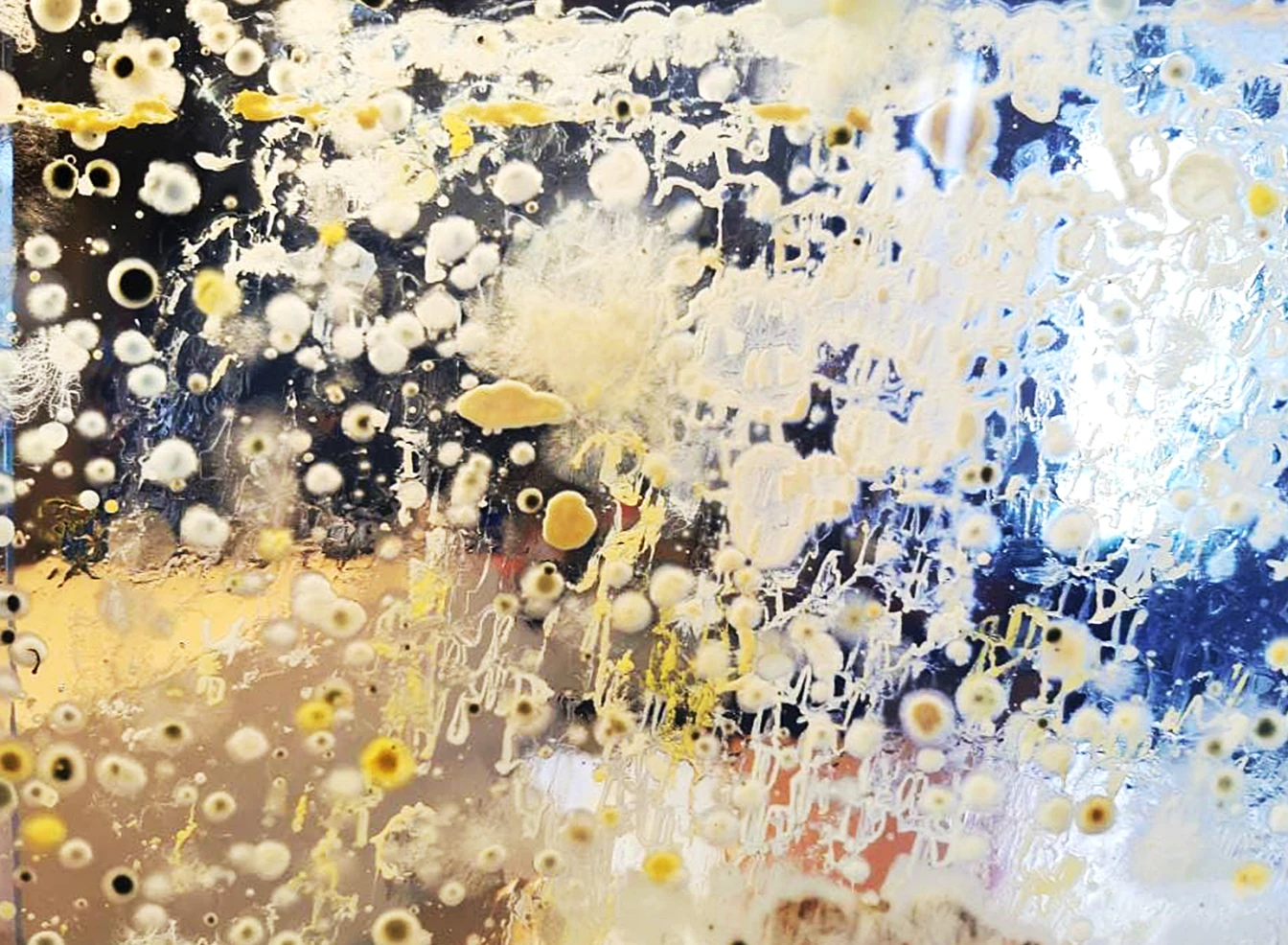 cover of SENSING SOIL_laboratorio