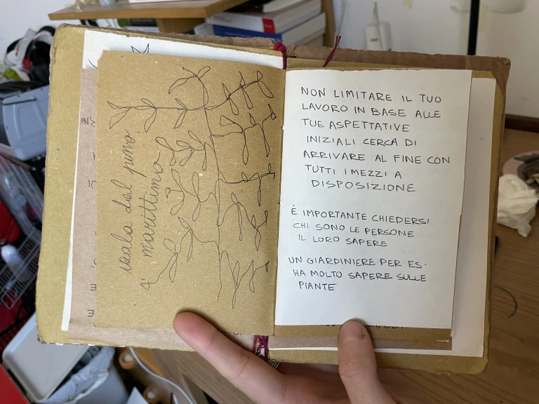 isola del pino marittimo