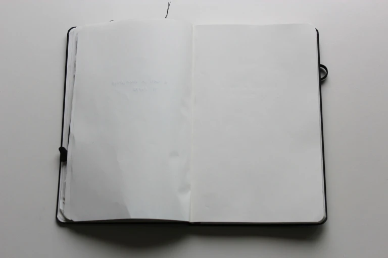 Moleskine