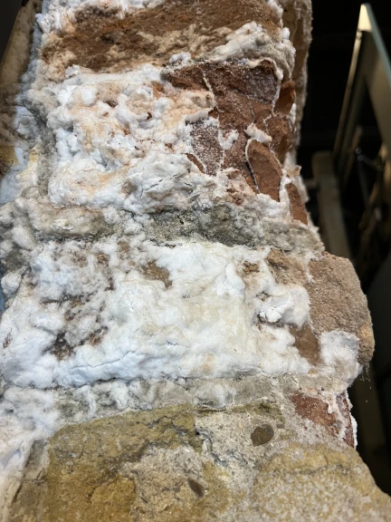 CHIARA GENTILI_25.10.2025_Ravenna_foto n.11 - Chiara Gentili.jpg