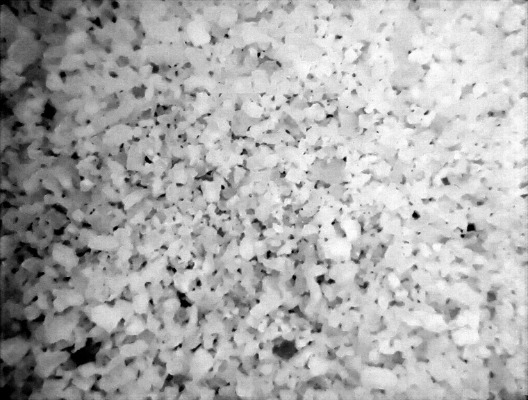 25 - Sabrina Maselli_24.10.2025_2.jpg