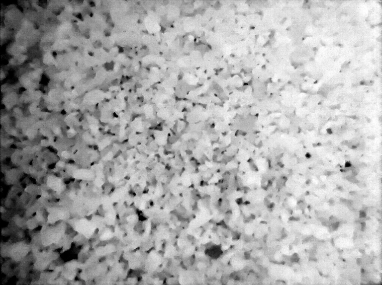 25 - Sabrina Maselli_24.10.2025_1.jpg