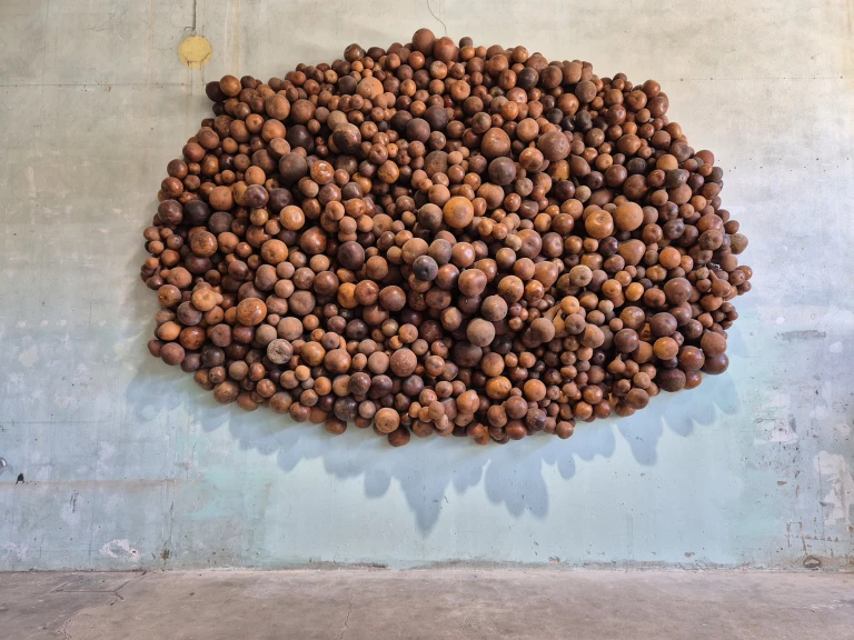 Muro di materia organica secca